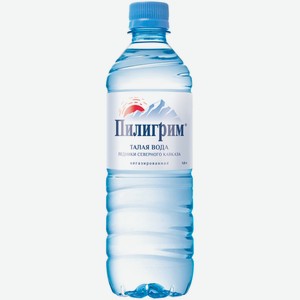 Вода питьевая минеральная Пилигрим негазированная 0,5 л