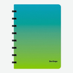 Бизнес-тетрадь Berlingo Radiance А5+ 80 листов клетка на кольцах 80г/м2 пластиковая обложка голубой/зеленый