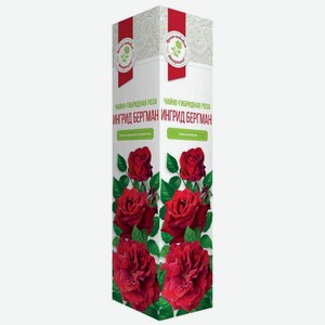 Растение Роза Ингрид бергман чайно-гибридная в коробке, 40 см