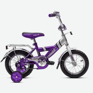 Велосипед двухколесный , детский Байкал (фиолетовый) арт.В1203
