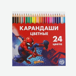 Карандаши MARVEL 24 цвета «Супергерой» Человек-Паук