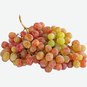 Виноград Тайфи вес до 500 г