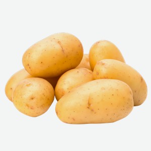 Корнеплод голландский картофель белый вес