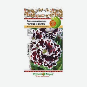 Цветы гвоздика Русский огород гибридная черное и белое