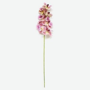 Орхидея розового цвета высота 100 /40+60/ см Конэко-О