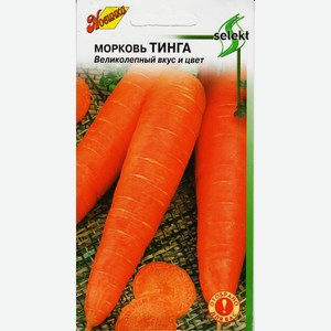 Морковь Тинга