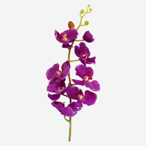 Орхидея Фаленопсис одиночная фиолетовая, h 102 см