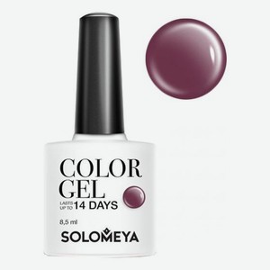 Гель-лак для ногтей Color Gel 14 Days 8,5мл: 26 Red-Violet