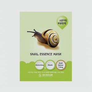 Тканевая маска для лица SKINSTORY Snail Essence Mask 1 шт