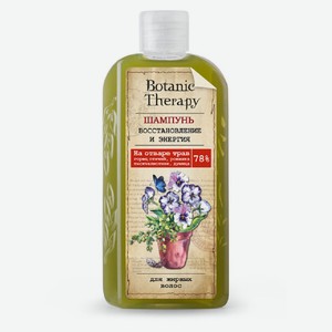 Шампунь для жирных волос Modum Botanic Therapy Восстановление и энергия, 285 г