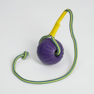 Игрушка для собак Пижон Мяч на верёвке для дрессировки 7 см фиолетовый