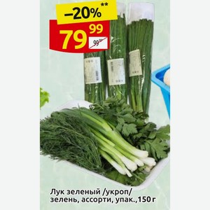 Лук зеленый /укроп/ зелень, ассорти, упак.,150 г