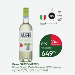 Вино GATTO MATTO Pinot Grigio Delle Venezie DOC белое сухое, 11,5%, 0,75 л (Италия)