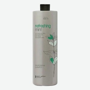 Тонизирующий шампунь для волос с ментолом Professional Line Mint Refreshing Shampoo 1000мл