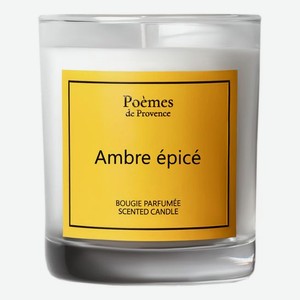 Ароматическая свеча Ambre Epice: свеча 140г