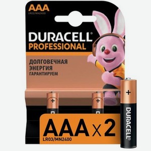 Duracell Батарейки DURACELL Professional ААA/LR03 бл/2шт