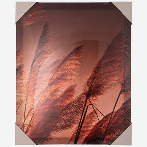 Картина на подрамнике  Тростник на закате  40х50см