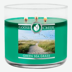Ароматическая свеча Green Sea Grass (Зеленая морская трава): свеча 411г