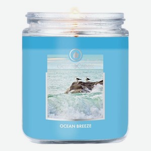 Ароматическая свеча Ocean Breeze (Океанский бриз): свеча 198г
