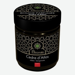 Ароматическая свеча Атласский кедр Bougie Parfumee Cedre D Atlas (кедр-бергамот): Свеча 55мл