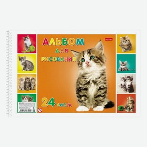 Альбом для рисования Hatber Милые котята 24 листа А4 на спирали
