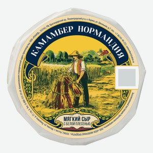 Сыр мягкий Нормандия Камамбер 50% 125 г