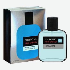 Туалетная вода мужская Today Parfum Pro-Еnergy Chrome 100 мл