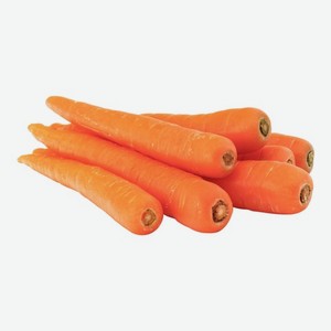 Морковь мытая молодая, весовая, Россия