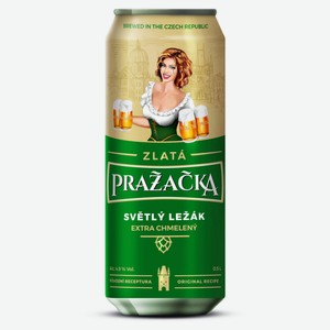 Пиво Prazacka Zlata светлое фильтрованное, 500 мл