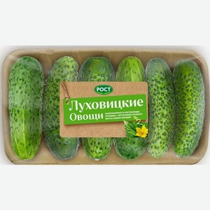 Огурцы короткоплодные Луховицкие овощи, 450 г