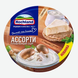 БЗМЖ Сыр плавленый Hochland Ассорти с грибами круг 140г