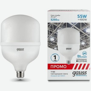 Лампа LED GAUSS E27/E40, цилиндр, 55Вт, 6500К, белый холодный, 60436, одна шт.