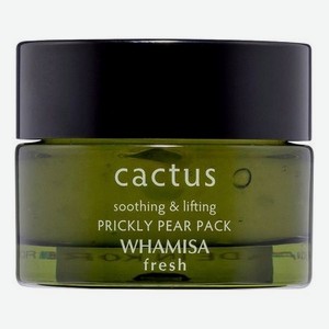 Маска для лица с экстрактом кактуса и PHA-кислотами Cactus Soothing & Lifting Prickly Pear Pack: Маска 30мл