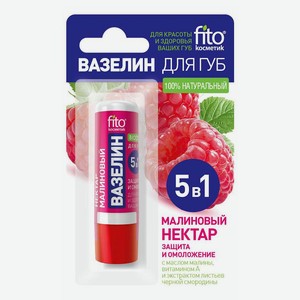 Вазелин для губ Fito Косметик питательный малиновый нектар 4,5 г
