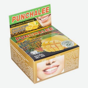 Растительная зубная паста Mango Herbal Toothpaste: Зубная паста 25г