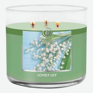 Ароматическая свеча Lovely Lily (Прекрасная лилия): свеча 411г