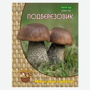 Мицелий грибов Подберезовик «Поиск», 60 мл