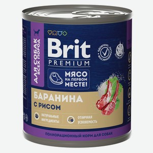 Корм консервированный для собак Brit баранина с рисом, 750 г