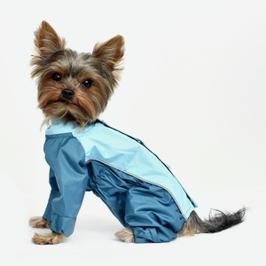 Tappi одежда дождевик для собак  Исонадэ  (S)
