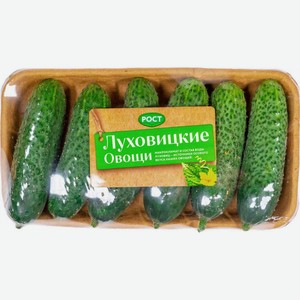Огурцы короткоплодные Рост Луховицкие овощи, 450 г