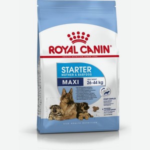 Royal Canin Maxi Starter сухой корм для щенков крупных пород с 3 недель до 2 месяцев (4 кг)
