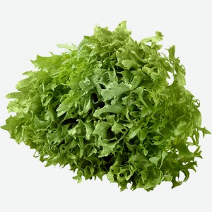 Салат листовой Фриллис, 1 шт