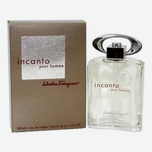 Incanto pour homme: туалетная вода 100мл