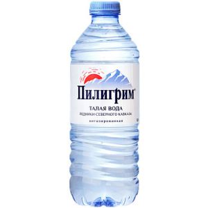 Питьевая вода Пилигрим негазированная 500 мл