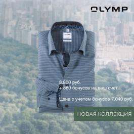 Olimp Рубашки Интернет Магазин Официальный Сайт